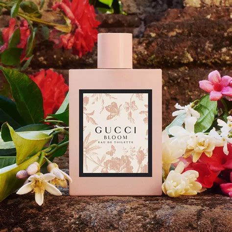 gucci bloom fragantica|Gucci Bloom Eau de Toilette ~ New Fragrances ~ Fragrantica.